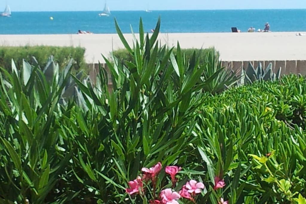 Cros Mer Et Piscine Saint-Pierre-la-Mer  Exterior photo